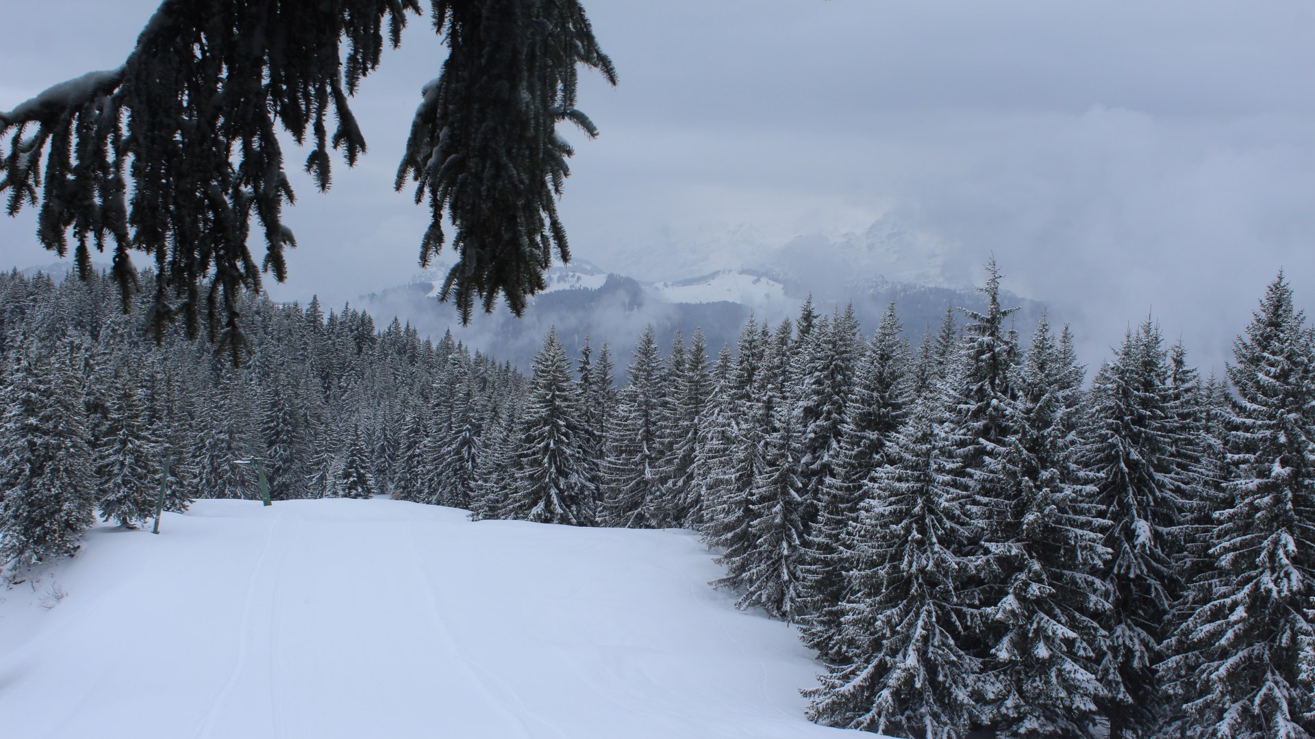 Gemeinde Unken › South