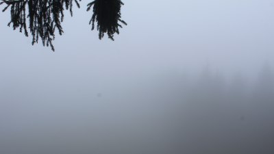 Fotowebcam Unken-Heutal