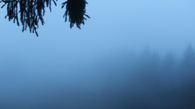 Fotowebcam Unken-Heutal