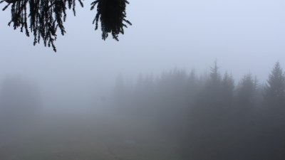 Fotowebcam Unken-Heutal