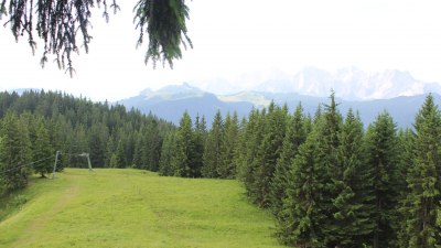 Fotowebcam Unken-Heutal