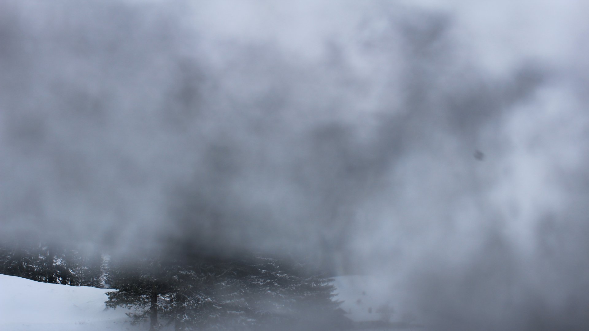 Fotowebcam Hochfelln Mittelstation