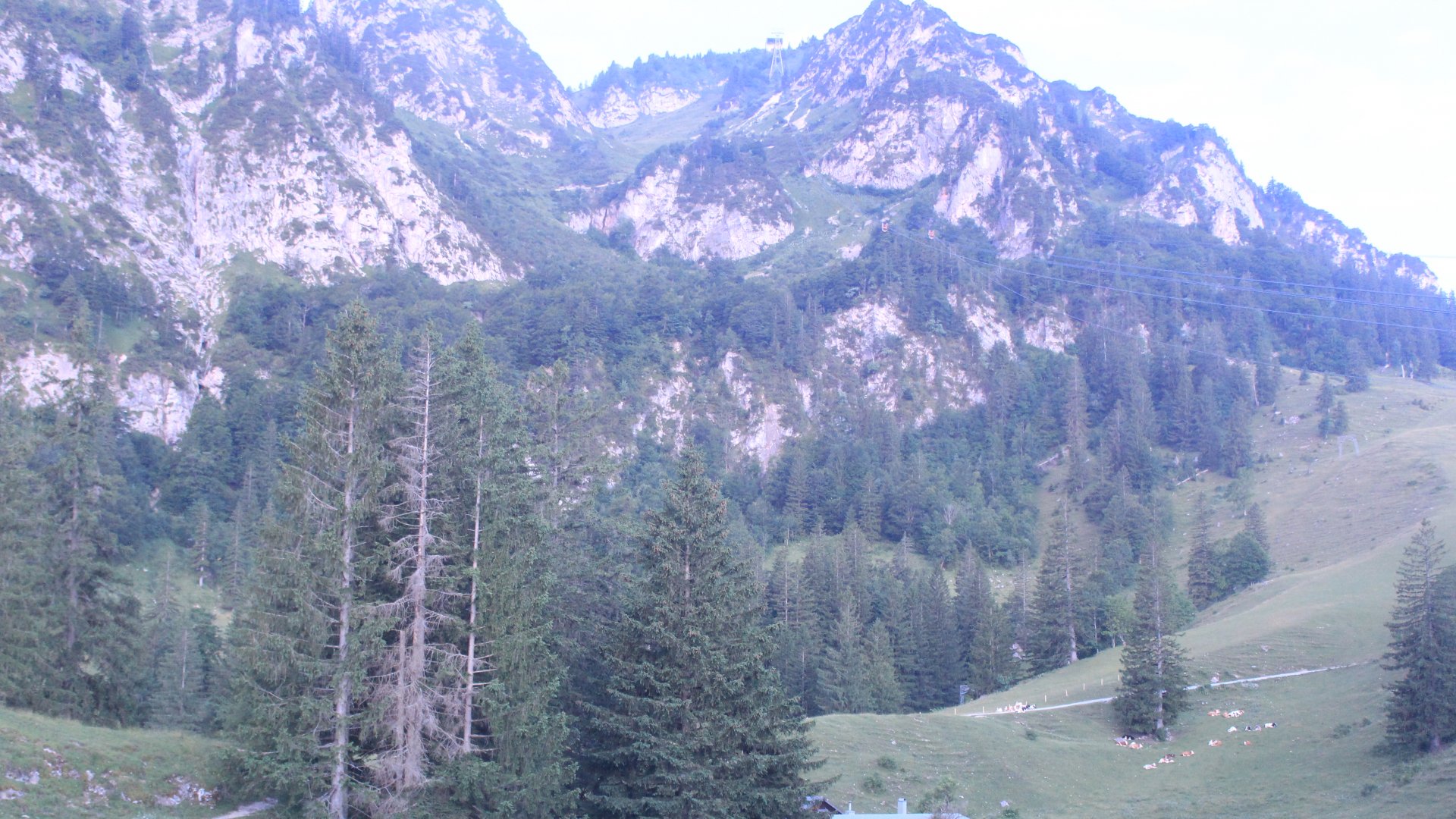 Fotowebcam Hochfelln Mittelstation