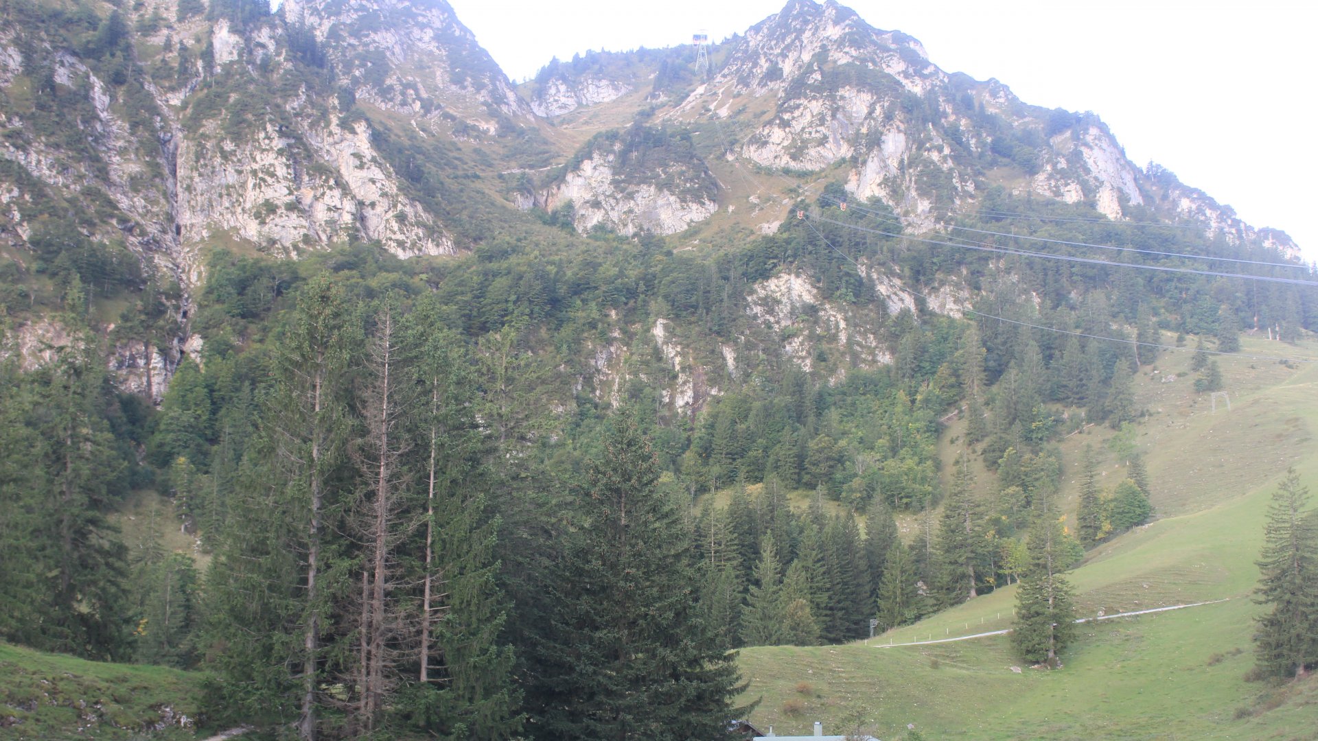 Fotowebcam Hochfelln Mittelstation