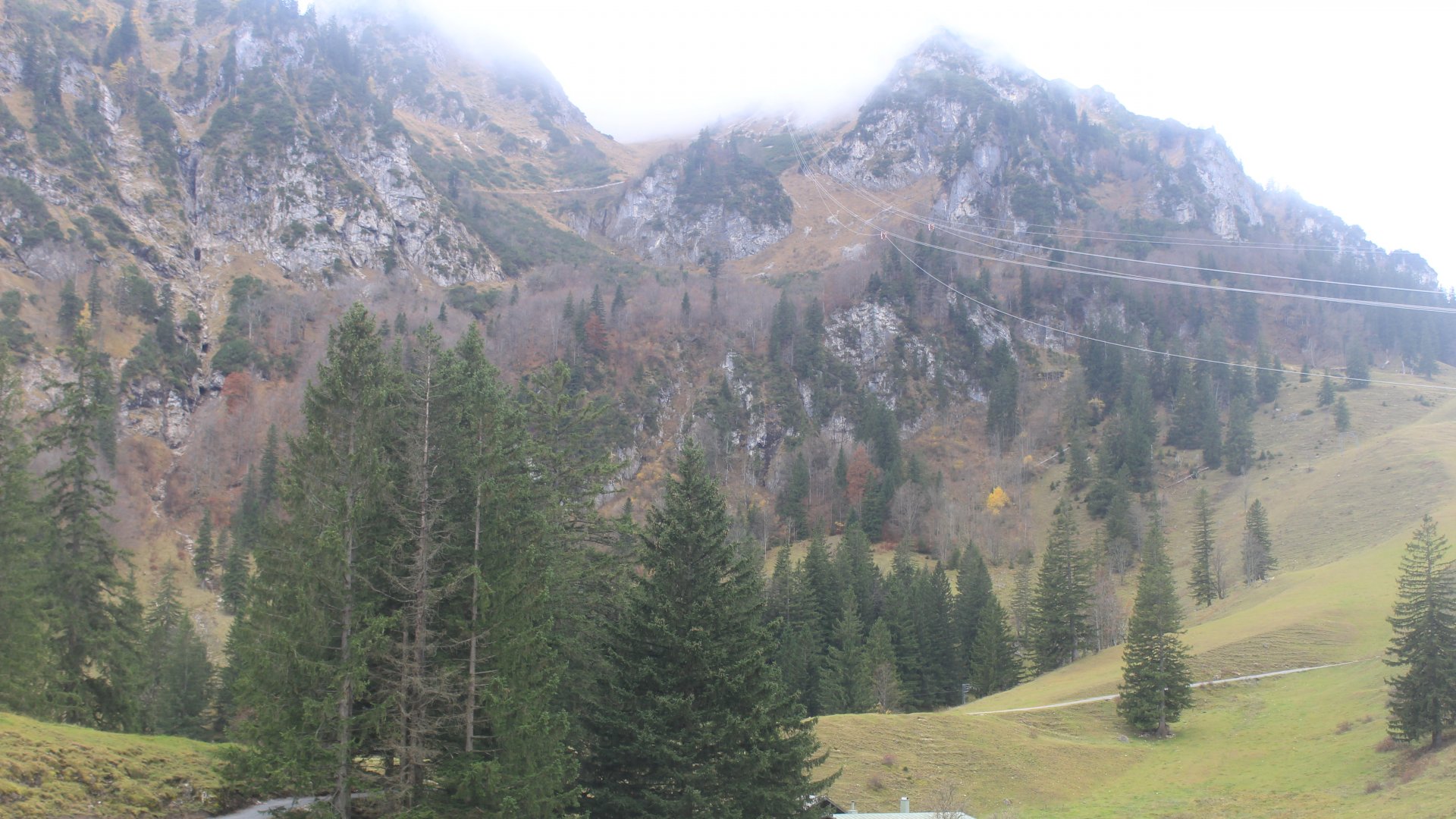 Fotowebcam Hochfelln Mittelstation