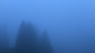 Fotowebcam Hochfelln-Bründling
