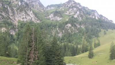 Fotowebcam Hochfelln-Bründling