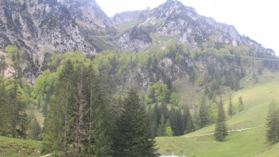 Fotowebcam Hochfelln-Bründling