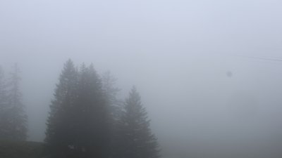 Fotowebcam Hochfelln-Bründling