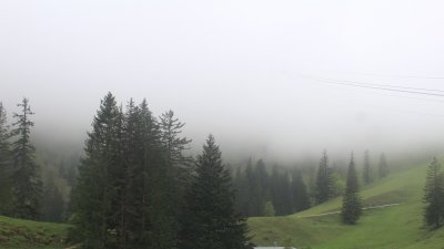 Fotowebcam Hochfelln-Bründling