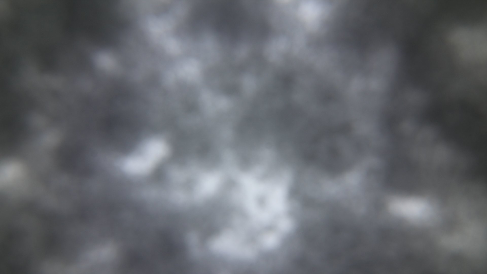 Fotowebcam Hochfelln Süd