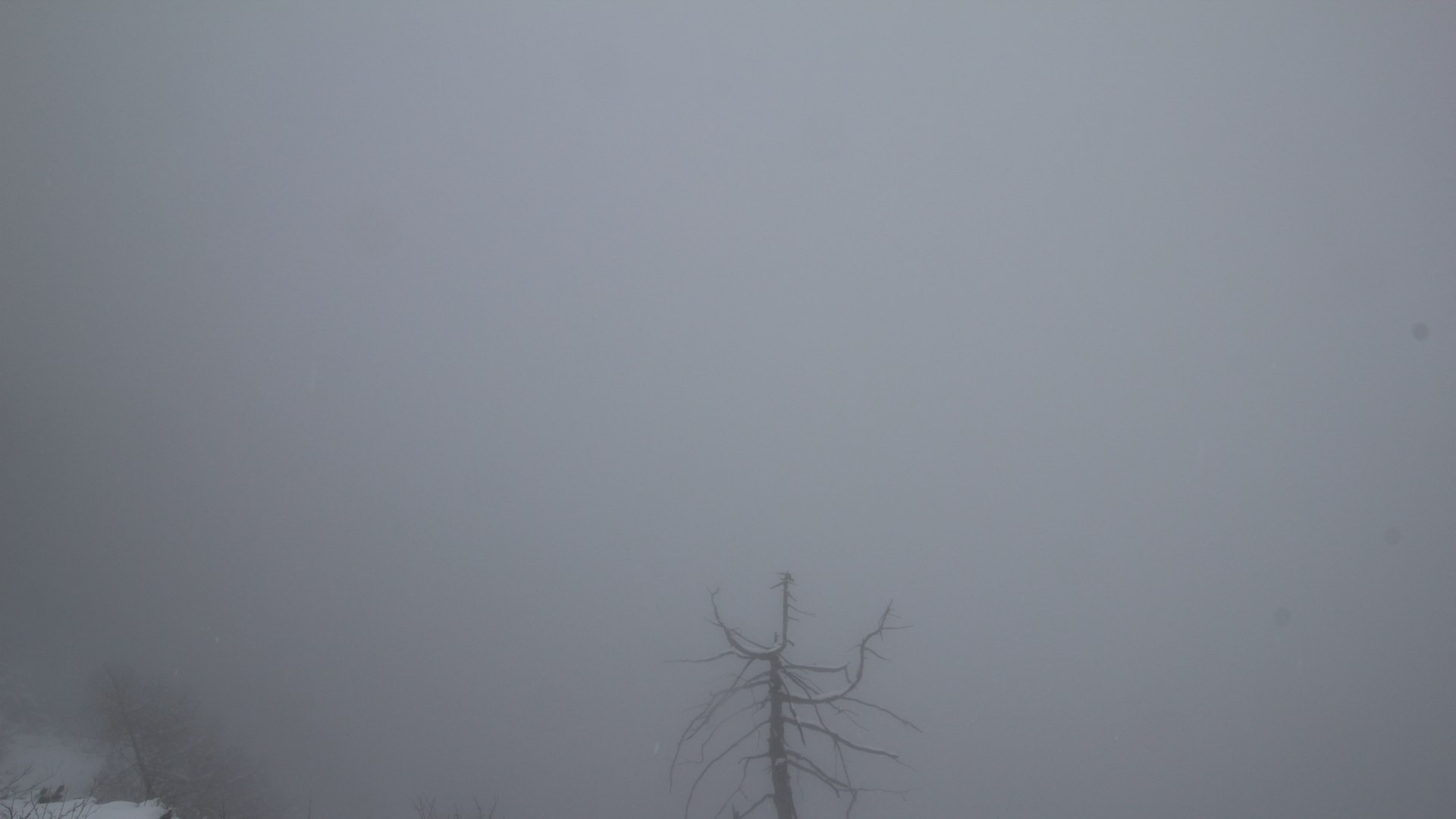 Gemeinde Unken › North-east