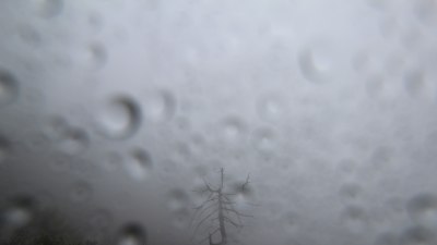 Fotowebcam Hochgseng