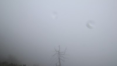 Fotowebcam Hochgseng