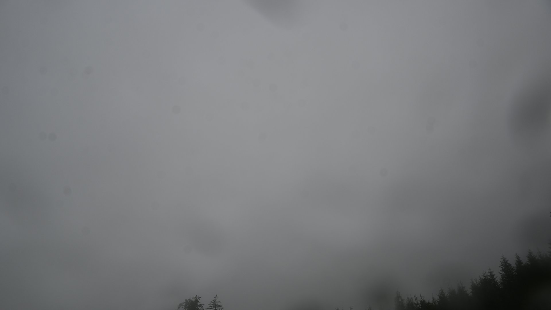 Fotowebcam
