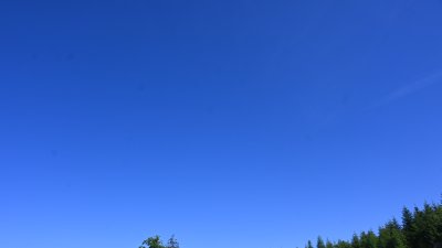 Fotowebcam Hochlehen (W)