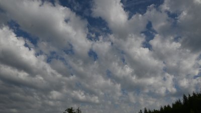 Fotowebcam Hochlehen (W)