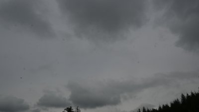 Fotowebcam Hochlehen (W)