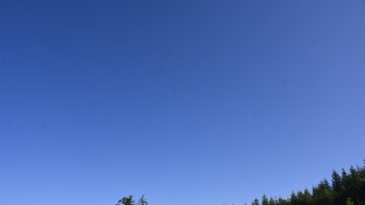 Fotowebcam Hochlehen (W)