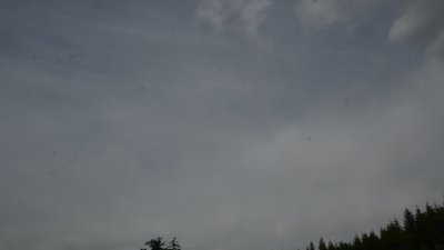 Fotowebcam Hochlehen (W)