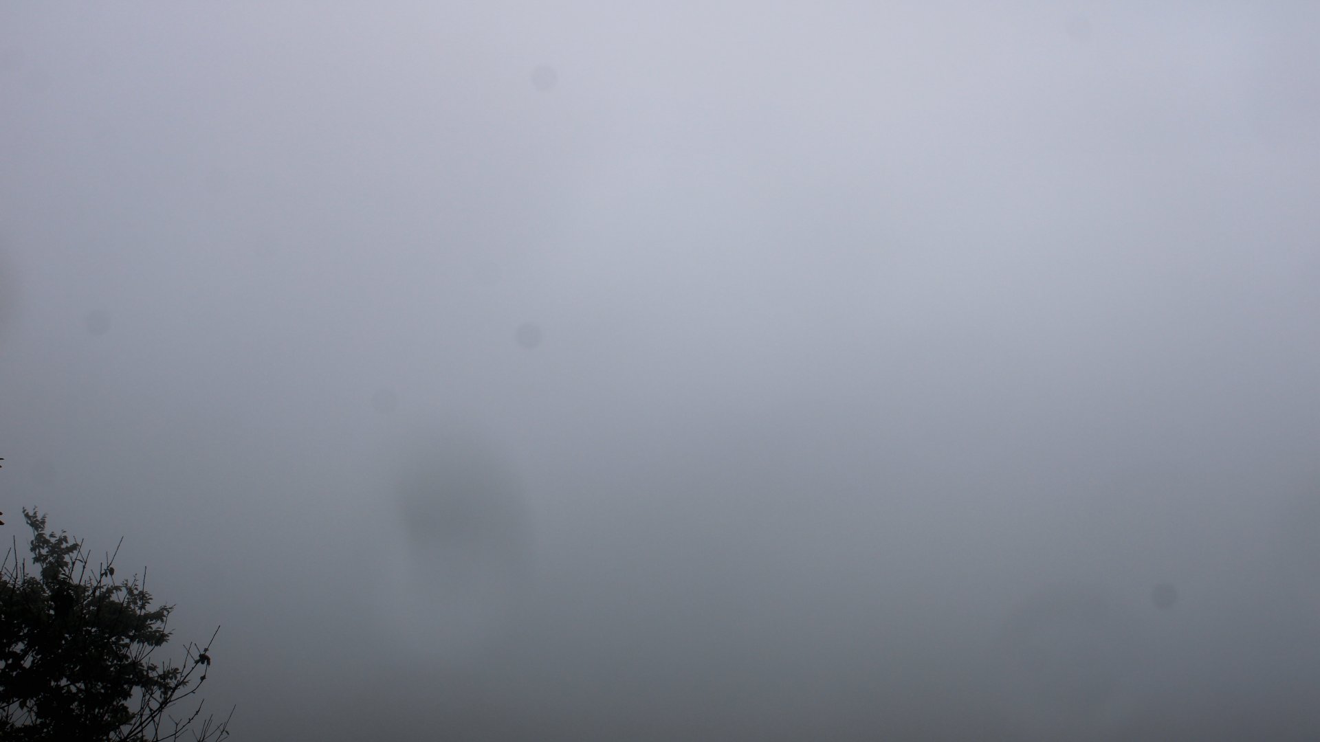 Fotowebcam