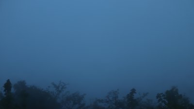 Fotowebcam Hochwald-Süd