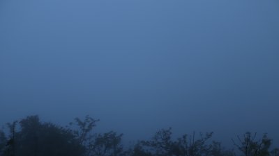 Fotowebcam Hochwald-Süd