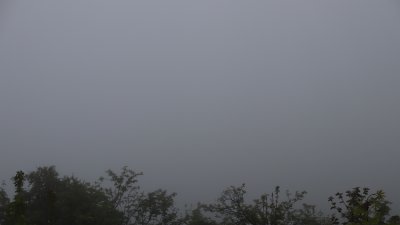 Fotowebcam Hochwald-Süd