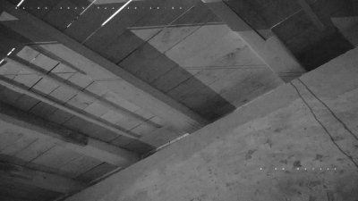 Live Webcam Fledermaushaus Hohenburg #1