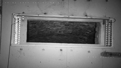 Live Webcam Fledermaushaus Hohenburg #1