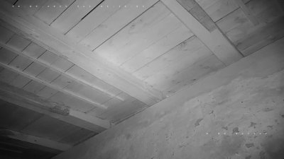 Live Webcam Fledermaushaus Hohenburg #1