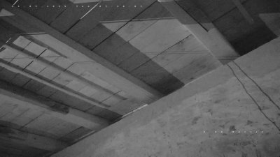 Live Webcam Fledermaushaus Hohenburg #1