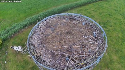 Live Webcam Storchennest Moormerland-Tergast