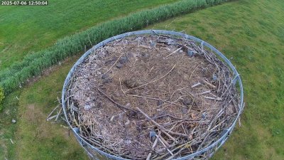 Live Webcam Storchennest Moormerland-Tergast