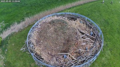 Live Webcam Storchennest Moormerland-Tergast