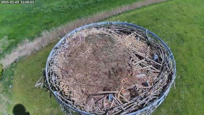 Live Webcam Storchennest Moormerland-Tergast