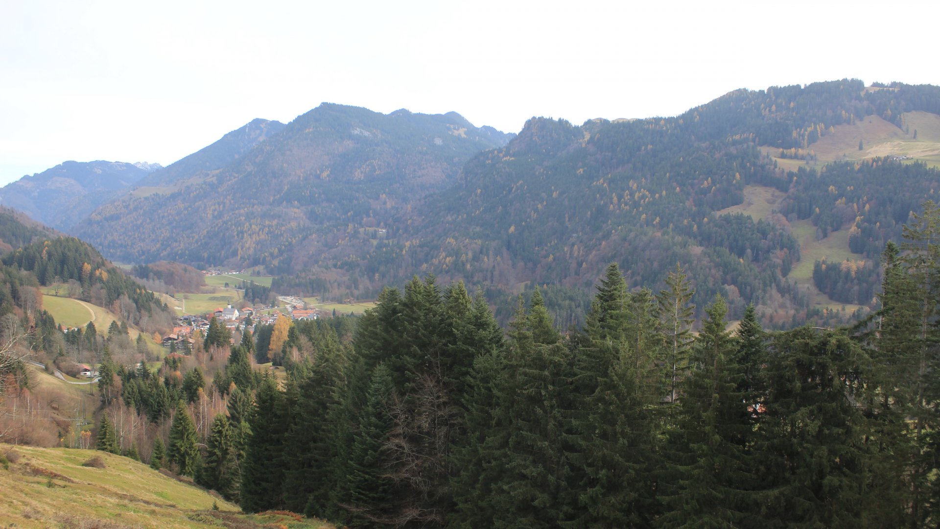 Niederndorferberg (view of Sachrang) Thumb4