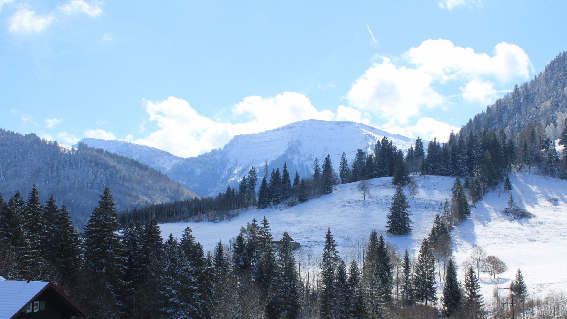 Berghüs Schratt/Oberstaufen - Blick zum Hochgrat