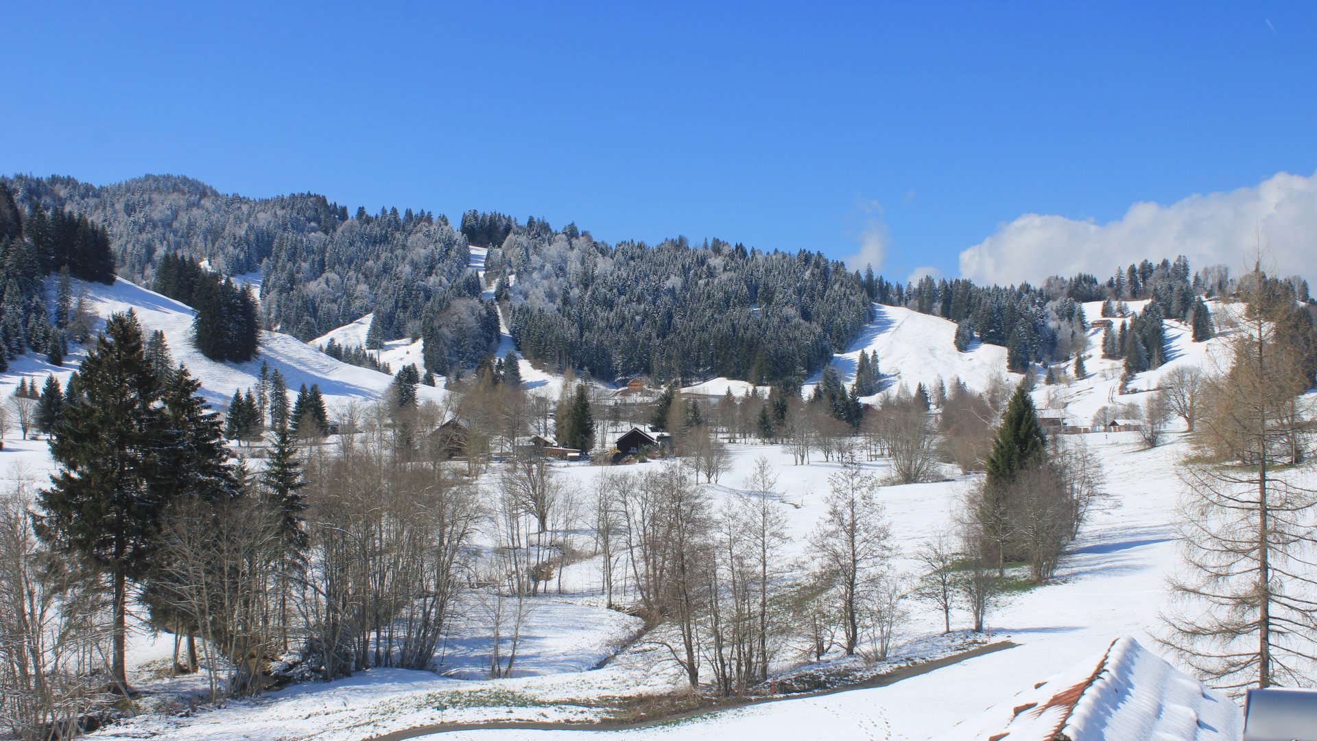 Berghüs Schratt/Oberstaufen - Blick über Steibis