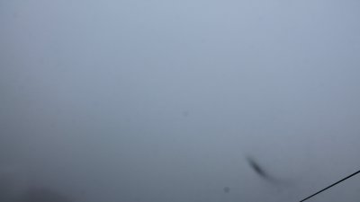 Fotowebcam Rauschberg