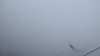 Fotowebcam Rauschberg