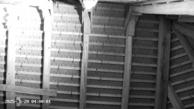 Live Webcam Großes Mausohr Rodenbach