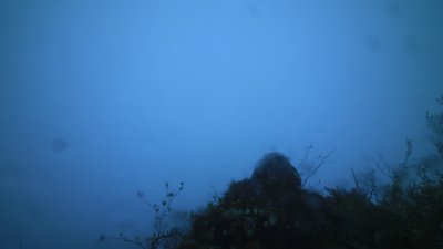 Fotowebcam Eggerschneid
