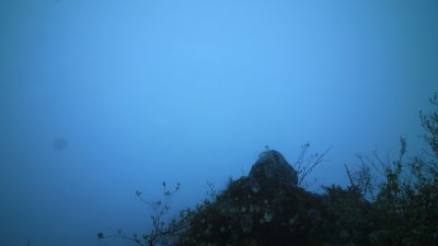 Fotowebcam Eggerschneid