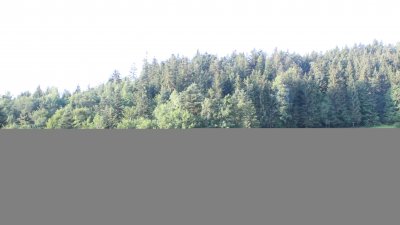 Sachrang-Reichenau