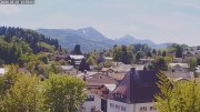 Siegsdorf-Störche