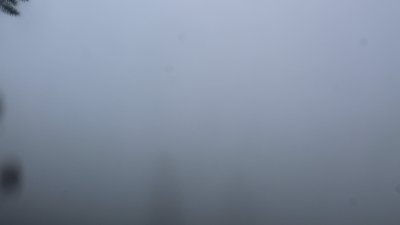 Fotowebcam Staffn-Alm
