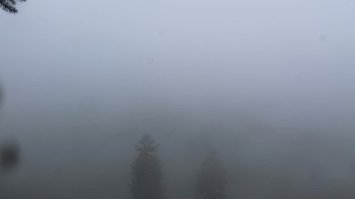 Fotowebcam Staffn-Alm