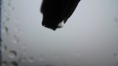 Fotowebcam Steinlingalm-Süd