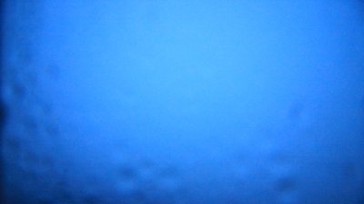 Fotowebcam Steinlingalm-Süd